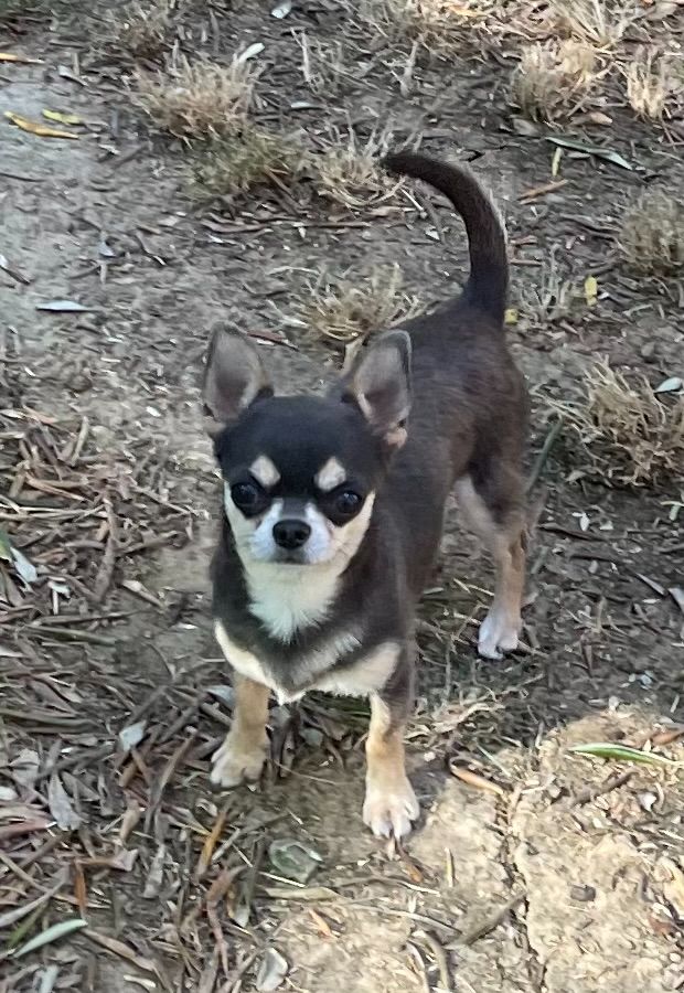 Utube Des Etoiles De Nice